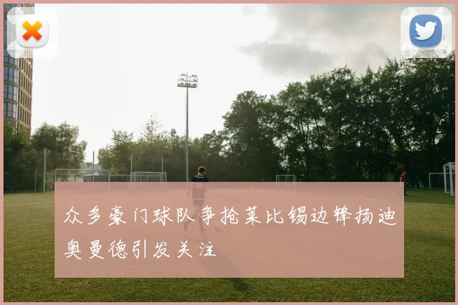 众多豪门球队争抢莱比锡边锋扬迪奥曼德引发关注